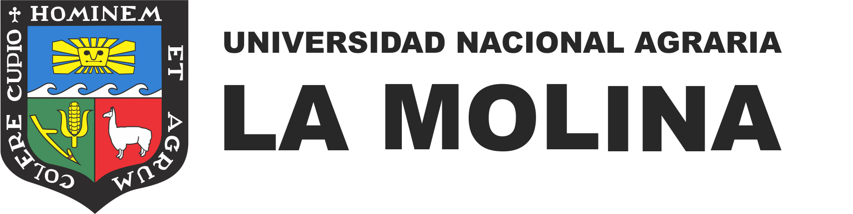 Descripción de la foto 5